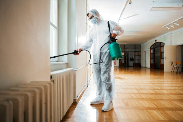 Best Affordable Pest Control Services  in Markle, IN
