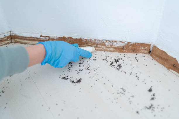 Best Wasp Removal Services  in Markle, IN